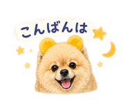 857578072