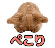 857578076