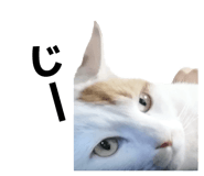 857579606