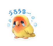 857579637