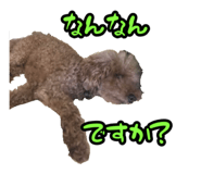 857580444