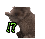 857580446