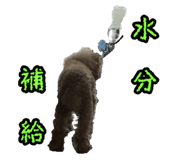 857580454