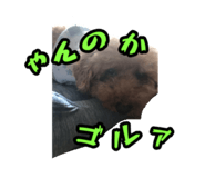 857580466