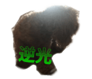 857580468