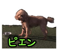 857580479