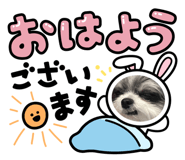 857580931