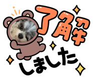 857580934