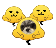 857580951
