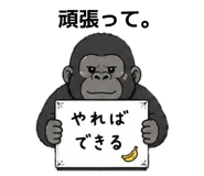 857581651