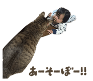 857582266