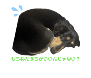 857582740