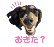 857582745