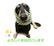 857582751