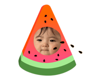 857582779