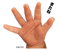 857583199