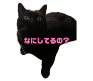 857583729