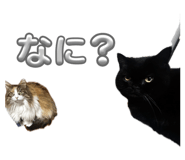 857583734