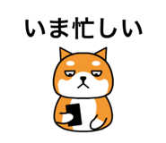 857584510