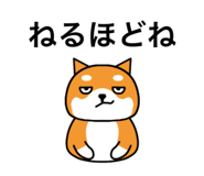 857584514