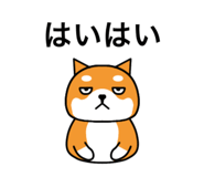 857584517