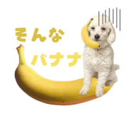 857585793