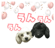 857585796