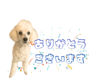857585801