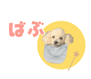 857585804