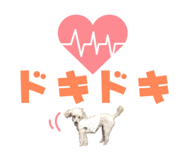 857585805