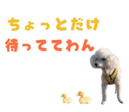 857585812
