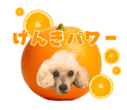 857585817