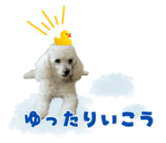 857585825