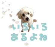 857585826