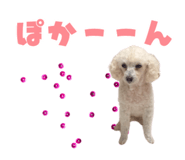 857585828
