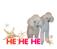 857585830
