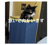 857585905