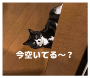 857585913