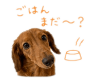 857586611