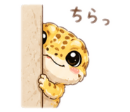 857587201
