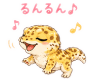 857587206