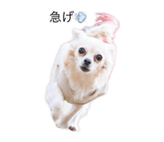 857588145