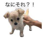 857588147