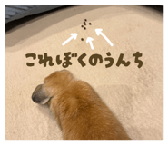 857588748