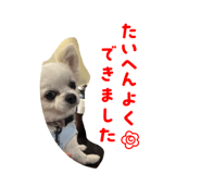 857589480