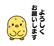 857591206