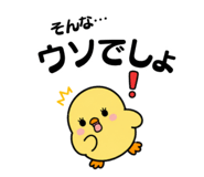857591213