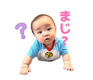 857591526