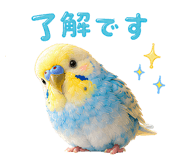 857593003