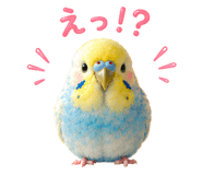 857593007